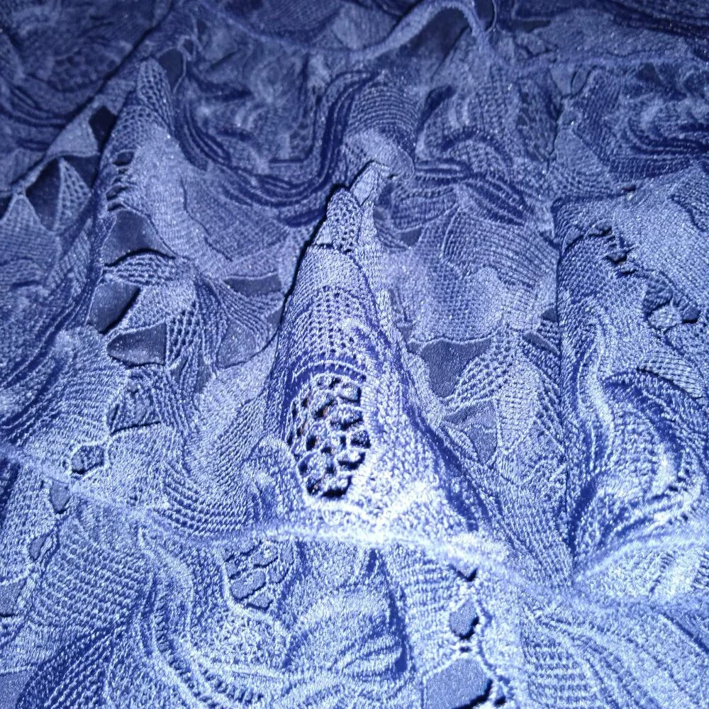 NWT! Layered with love Dress! ONLY $49! RETAIL $158! Chic Blue Floral Lace Sz 1X - Picture 2 of 7